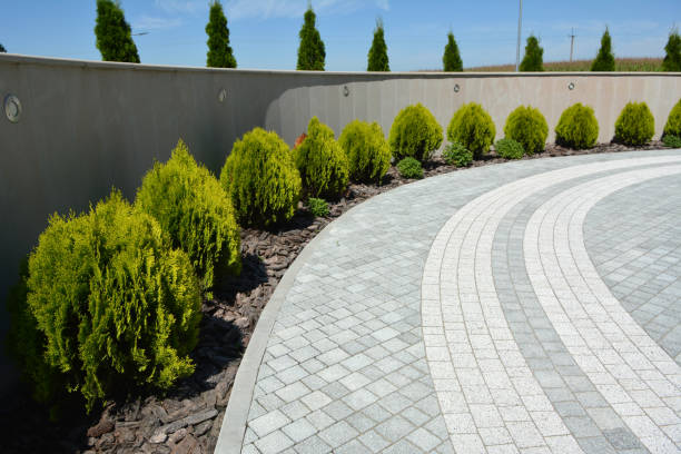 Best Residential Driveway Paver Services  in Siloam Springs, AR
